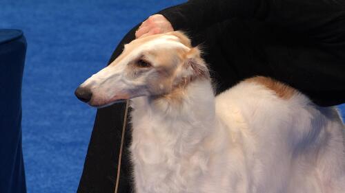 体育商业联盟管理